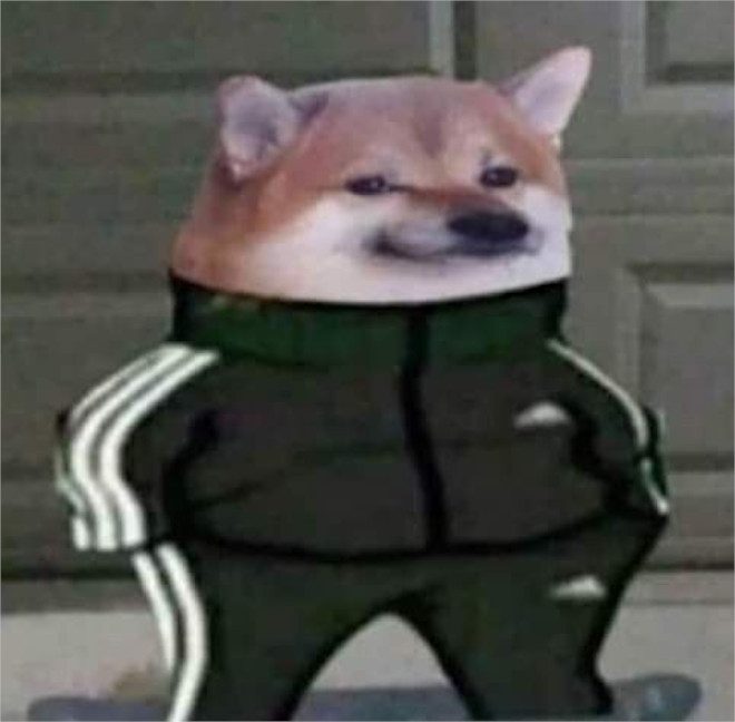 The original Slav Cheebs: a Shiba head on a green three-stripe tracksuit